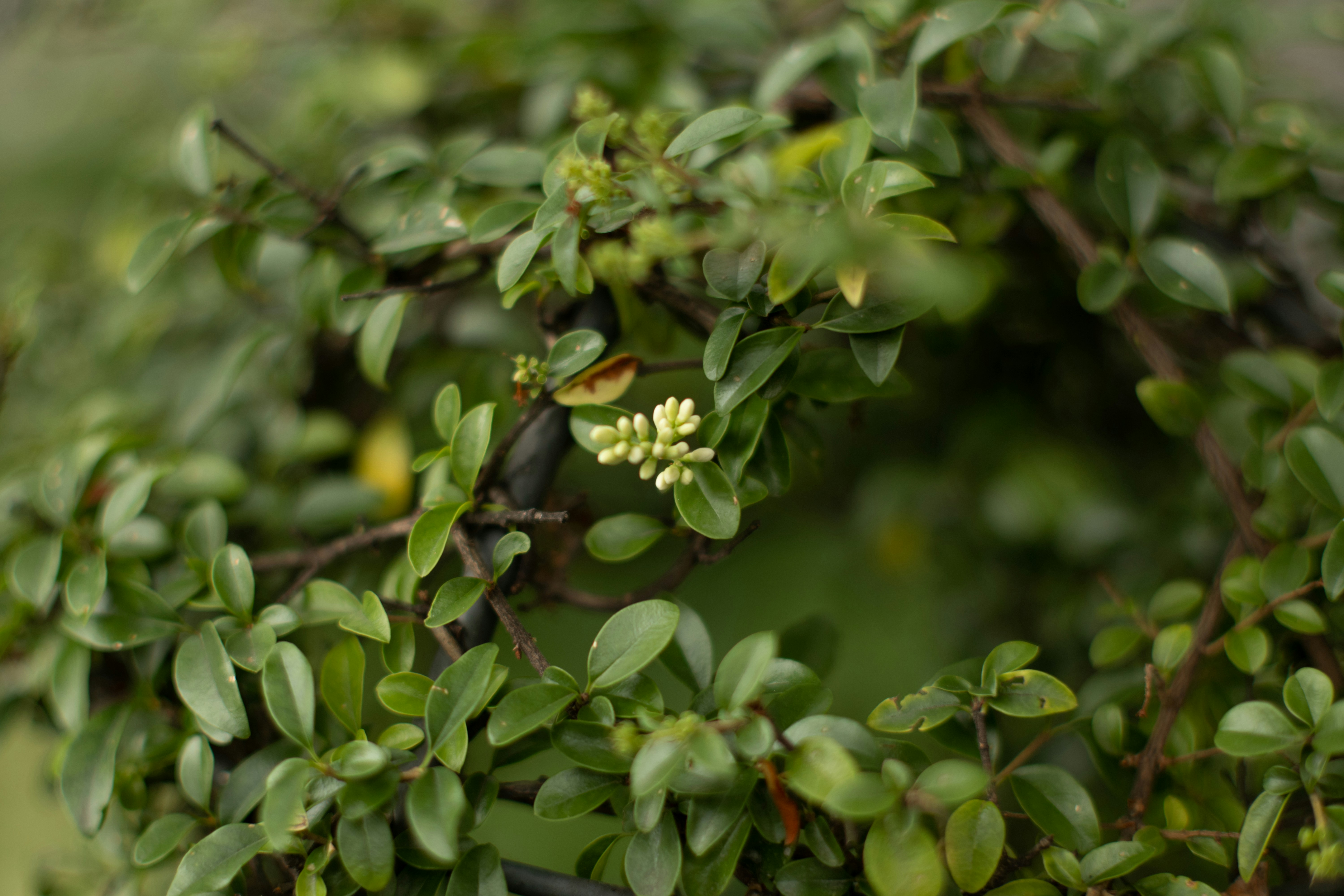 Photo by takatsuchida