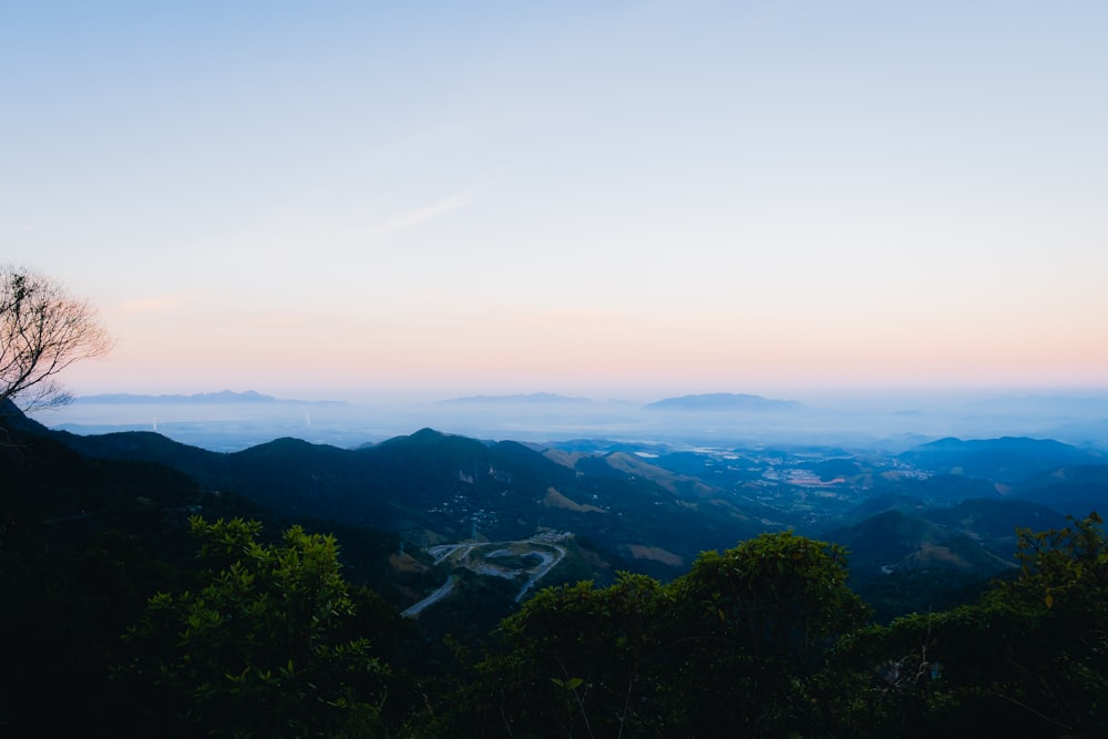 a scenic view of a mountain with a tree in the foreground