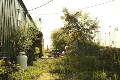 A rustic outdoor setting with a metal shed on the left covered partially by vines and greenery. A propane tank sits near the building amidst scattered vegetation. The area behind the shed is overgrown with tall grass and bushy plants, leading to a distant visible object, possibly a grill. The scene is sunlit, casting a warm glow over the landscape and emphasizing the natural, somewhat unkempt surroundings.