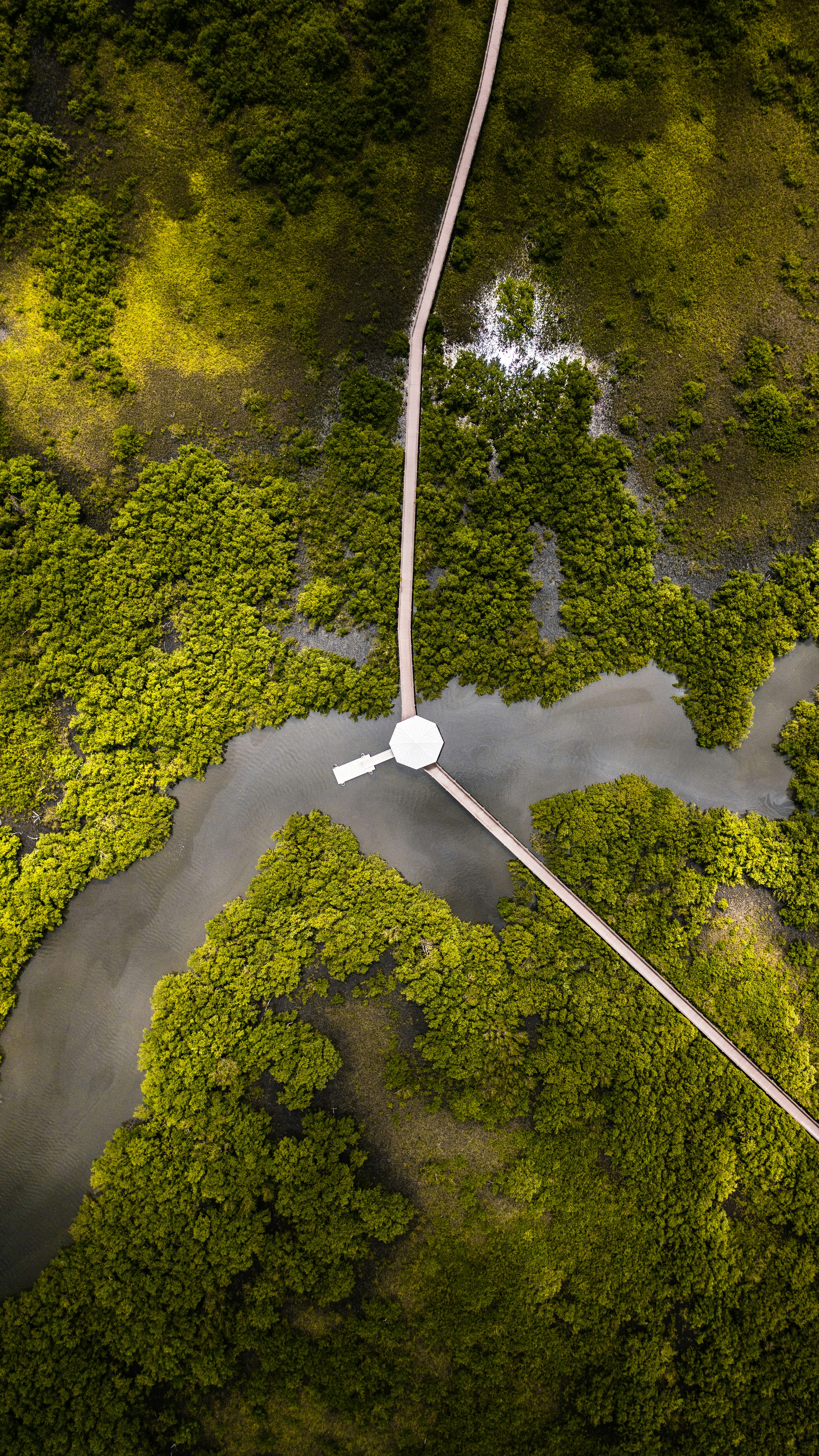 an aerial view of a river running through a lush green forest