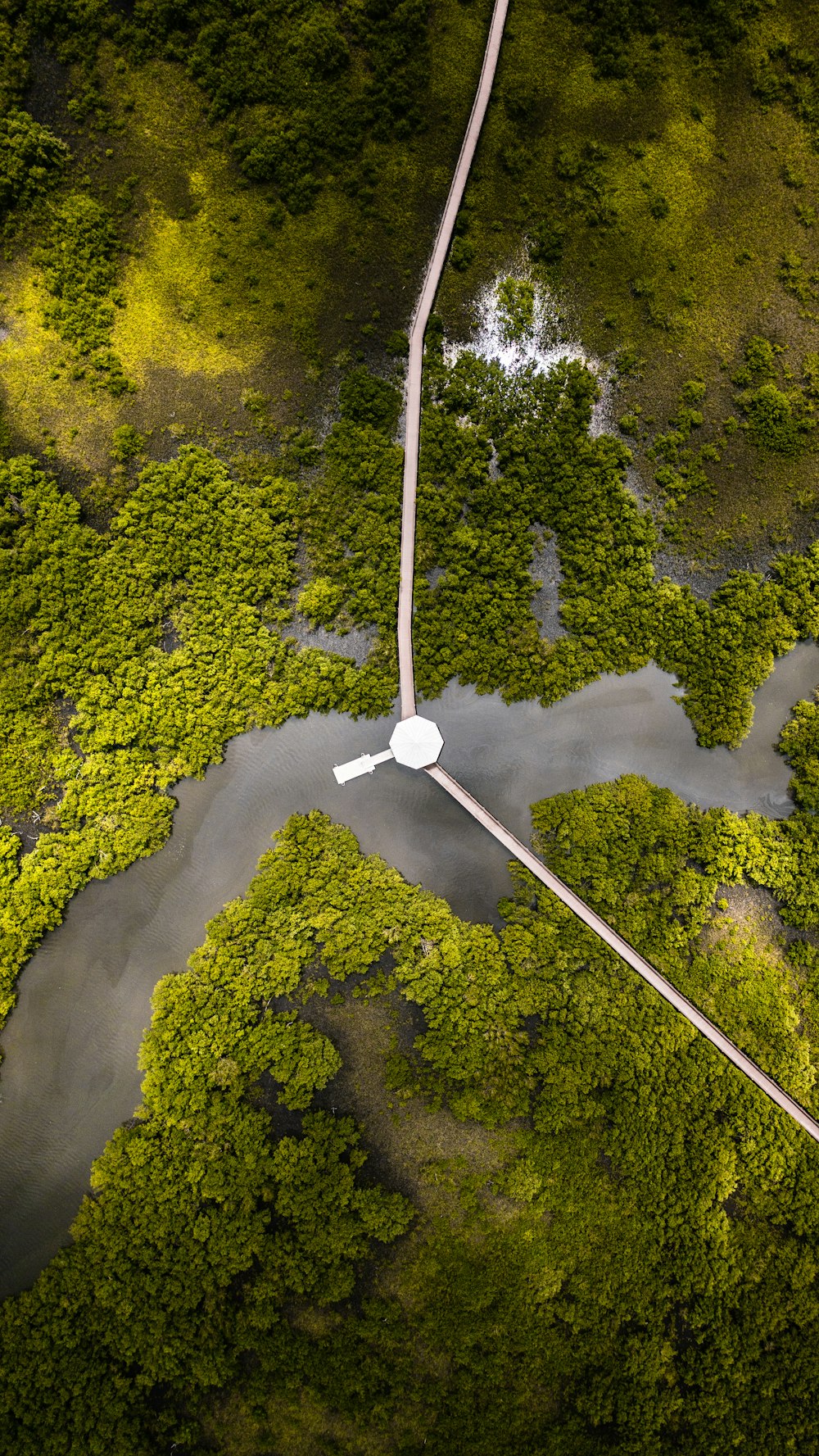 an aerial view of a river running through a lush green forest