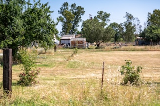 A rural landscape features an open field with dry grass and some green shrubs scattered throughout. In the background, there are several trees and a few rustic buildings, including a small shed with a tin roof. A wooden fence surrounds parts of the area, and a school bus is partially visible near the buildings.