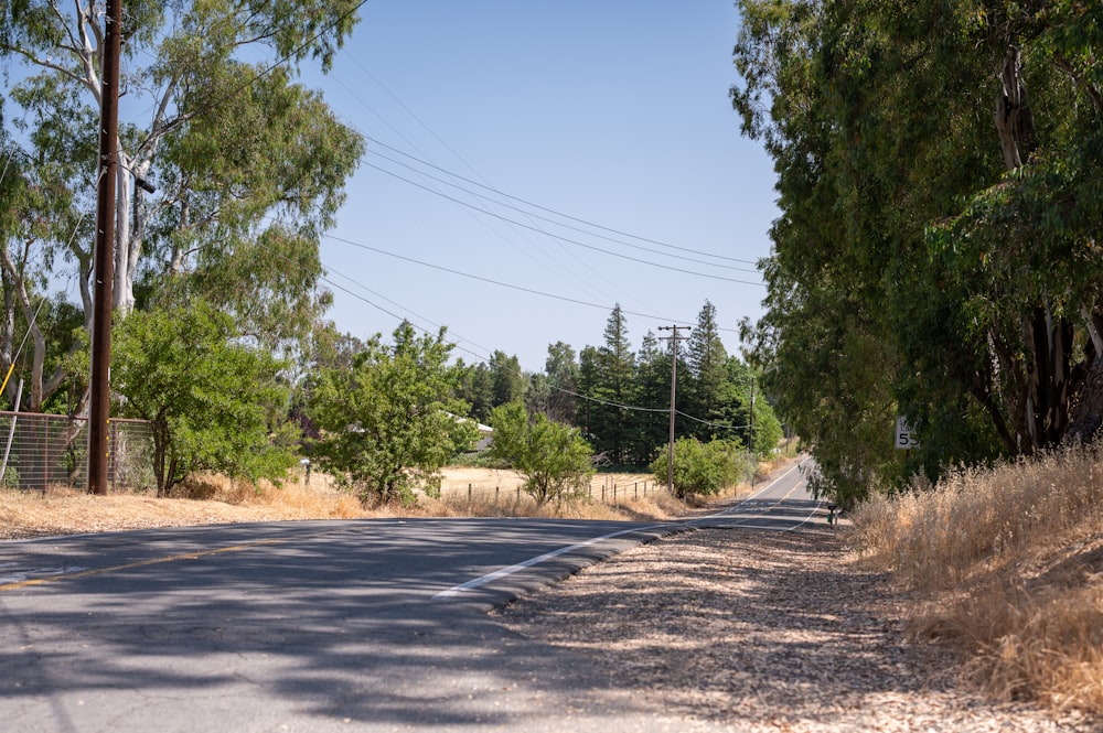 an empty road with trees on both sides