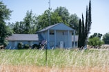 A two-story house with a white facade and prominent columns stands surrounded by greenery and trees. The front yard has tall grass, and an American flag is visible near the entrance. Tall cypress trees flank the right side of the house, and tall leafy trees create a dense backdrop.