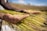Farmer shaking hands with Geyson Agro worker in a freshly prepared field under a bright sky.