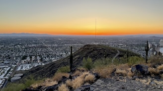 A vast cityscape viewed from a hill during sunset, with a clear gradient of orange and yellow hues in the sky. Sparse desert vegetation and cacti are in the foreground, and a network of streets and buildings extends across the landscape. A tall radio or communication tower is visible in the center of the view.