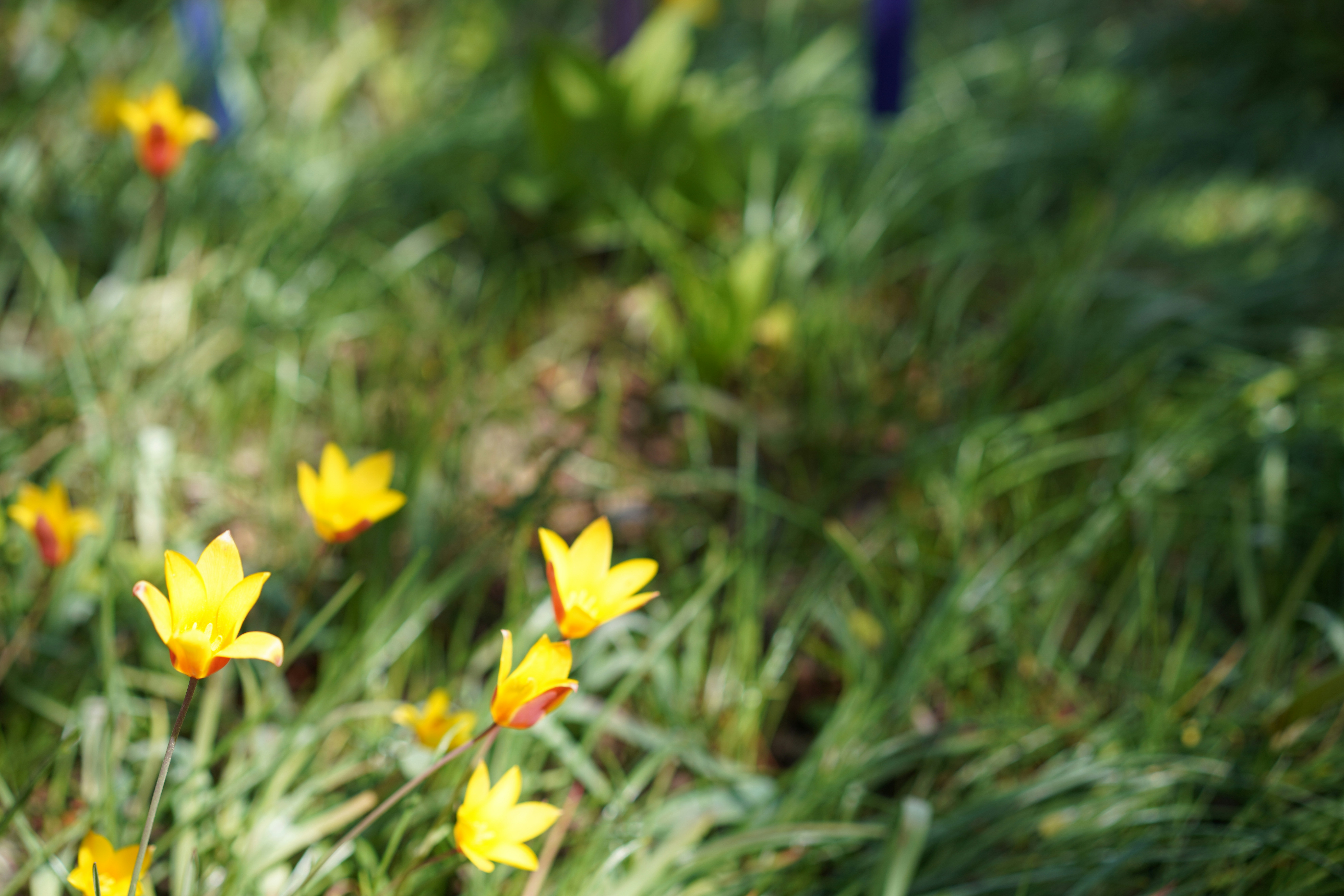 Photo by stardustnwind