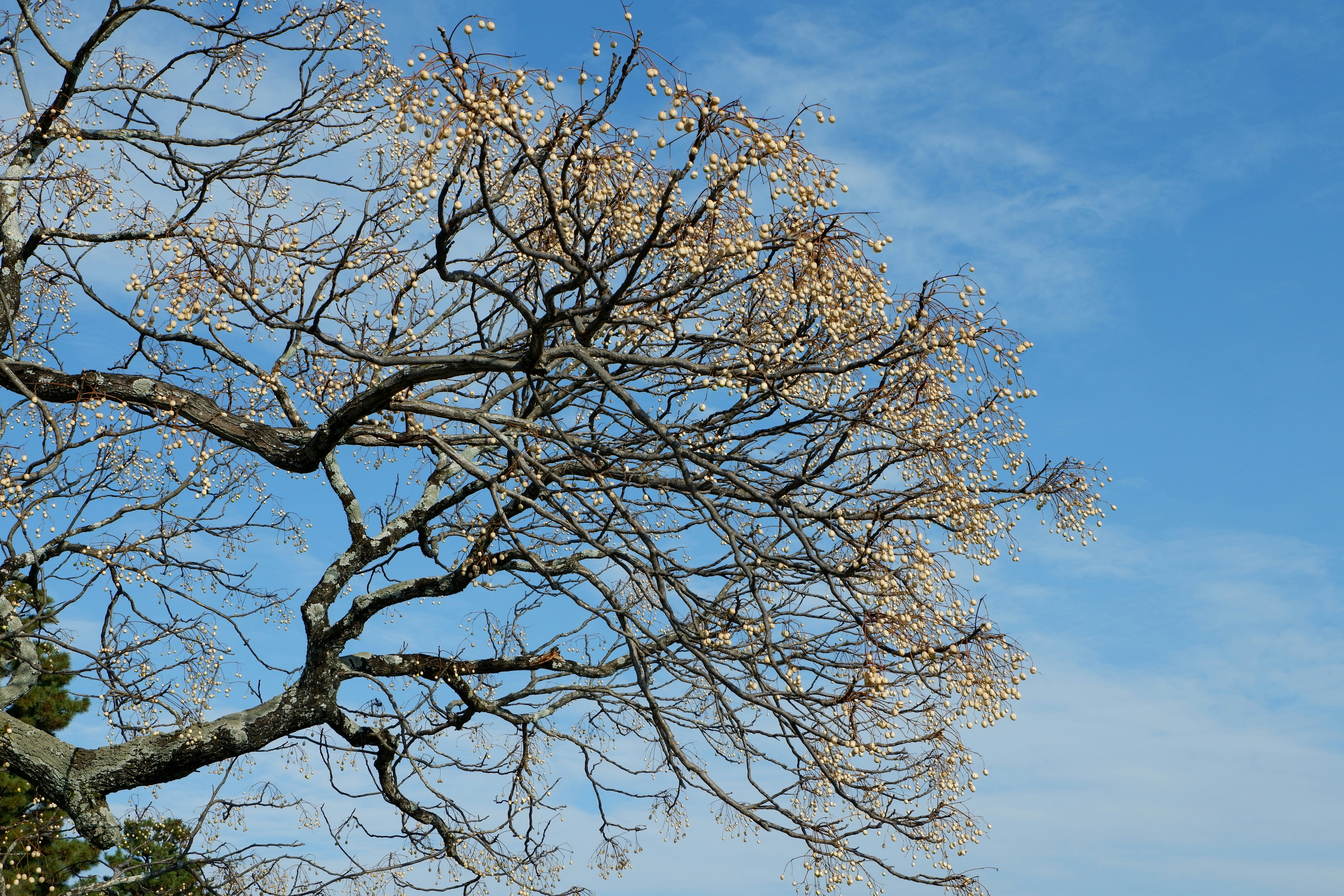 Photo by alma_kai_mt