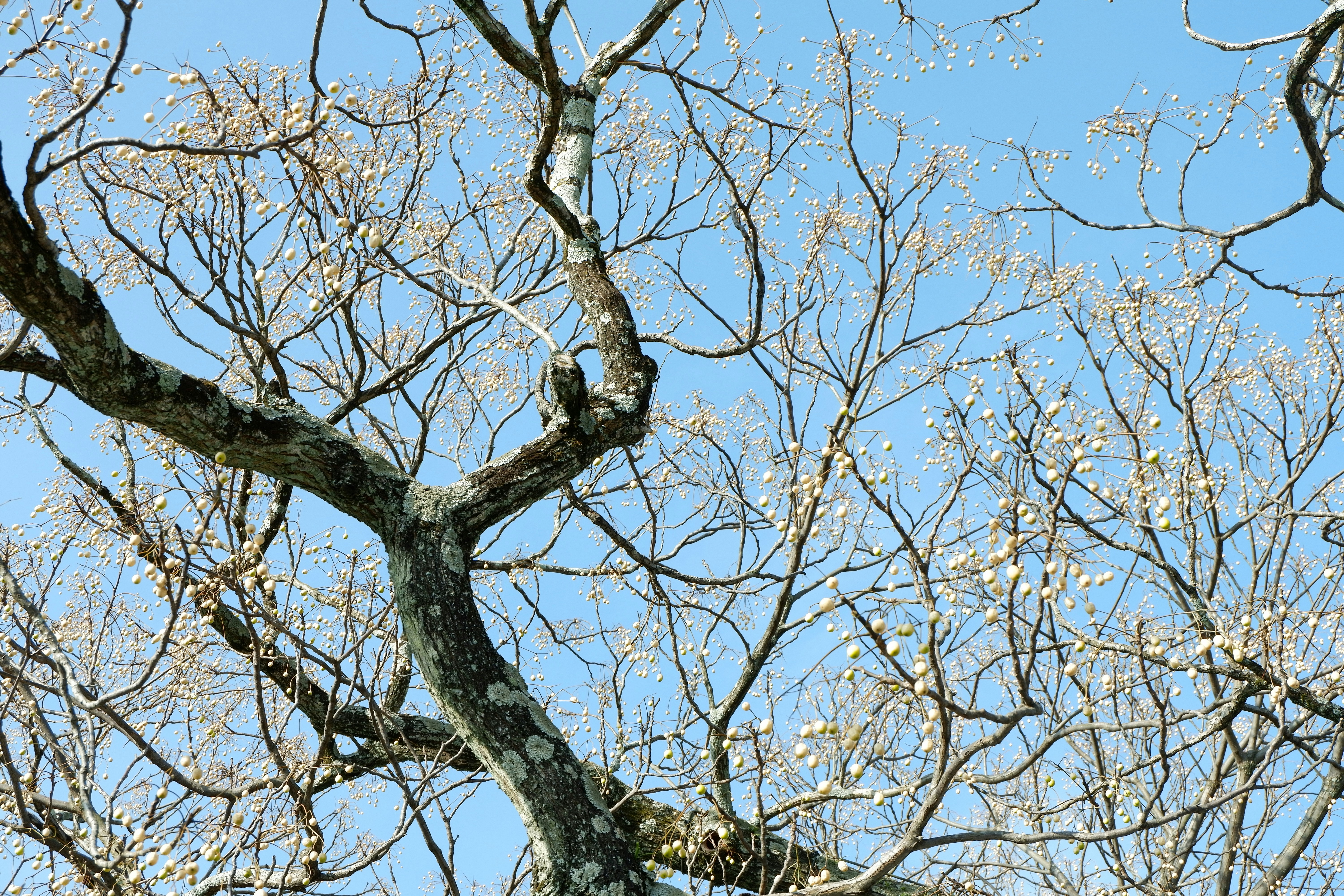 Photo by alma_kai_mt