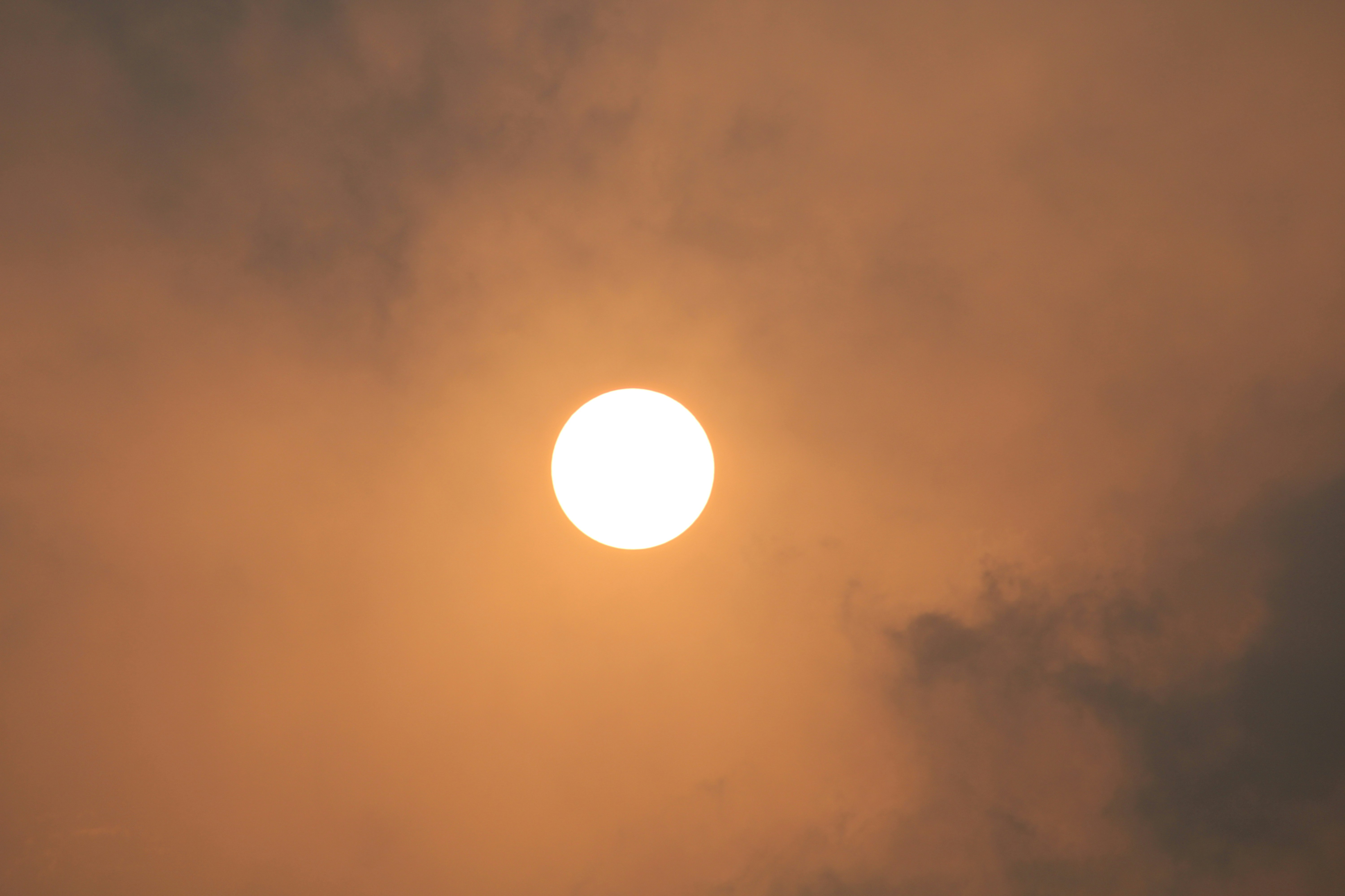 Photo by photoloveramico