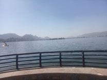 A scenic view of a large, calm lake with a railing in the foreground. Mountains are visible in the background under a clear blue sky. Numerous birds are flying over the water or perched on the surface, and one bird is prominently flying close to the camera.