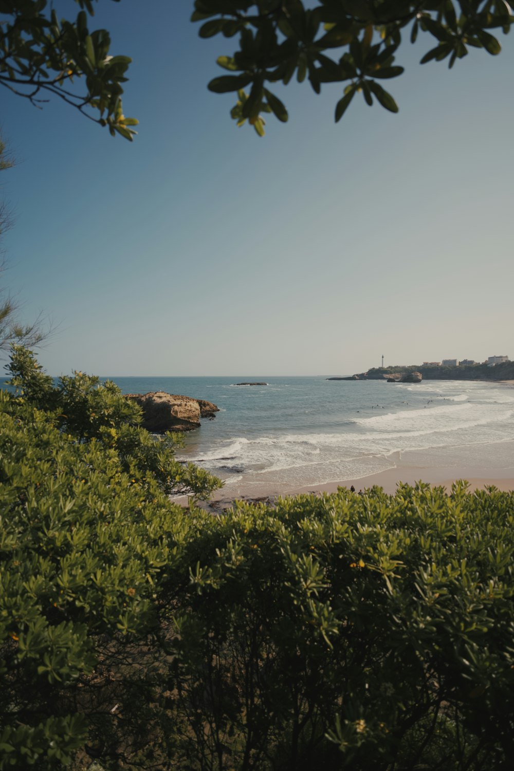 a view of the ocean from a beach