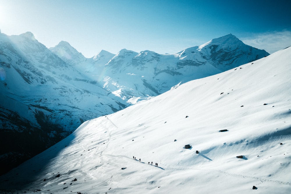 eine gruppe von leuten, die einen schneebedeckten berg hinunterfahren