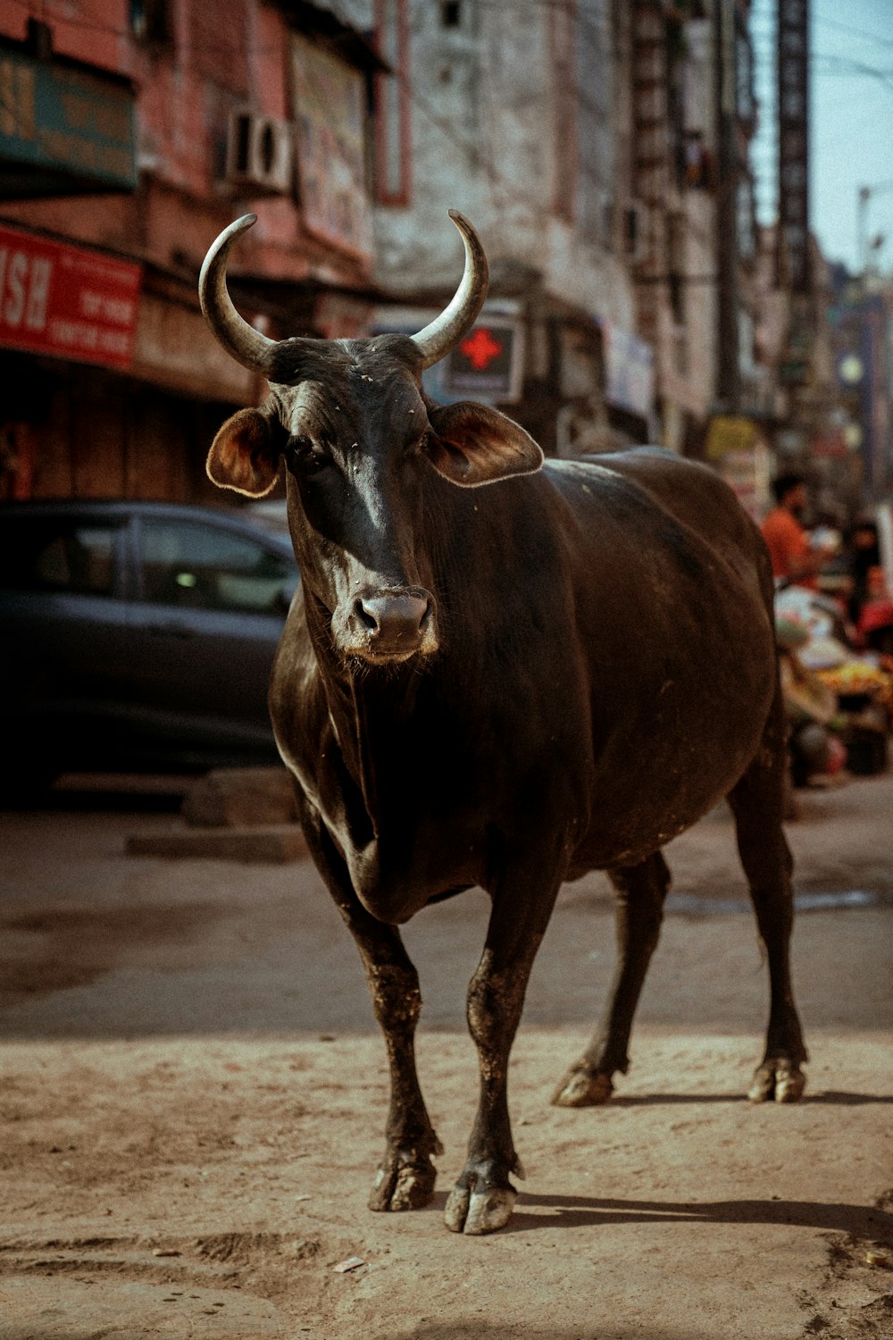Un toro parado en medio de una calle