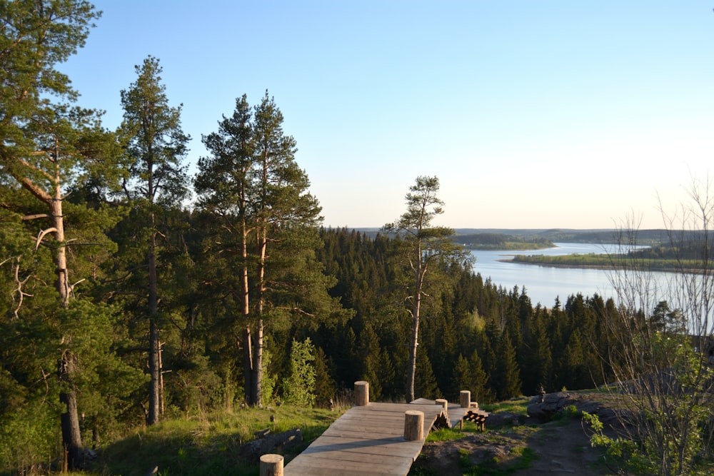 a wooden walkway leading to a lake surrounded by trees