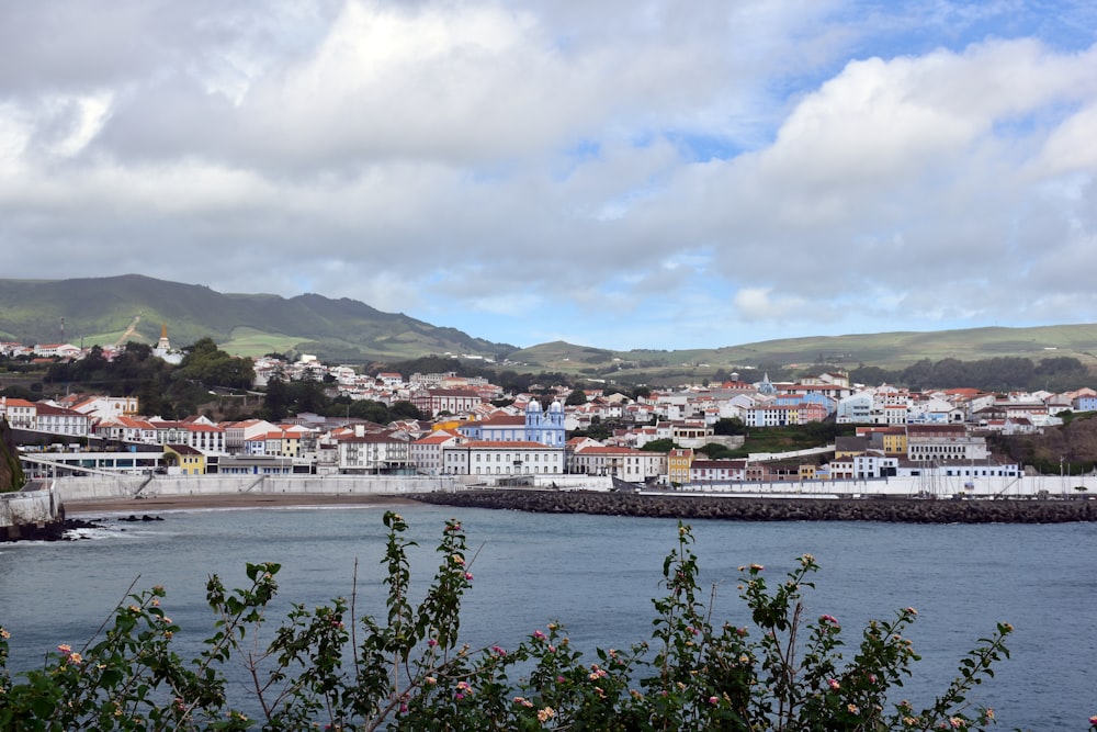 a view of a city from across the water