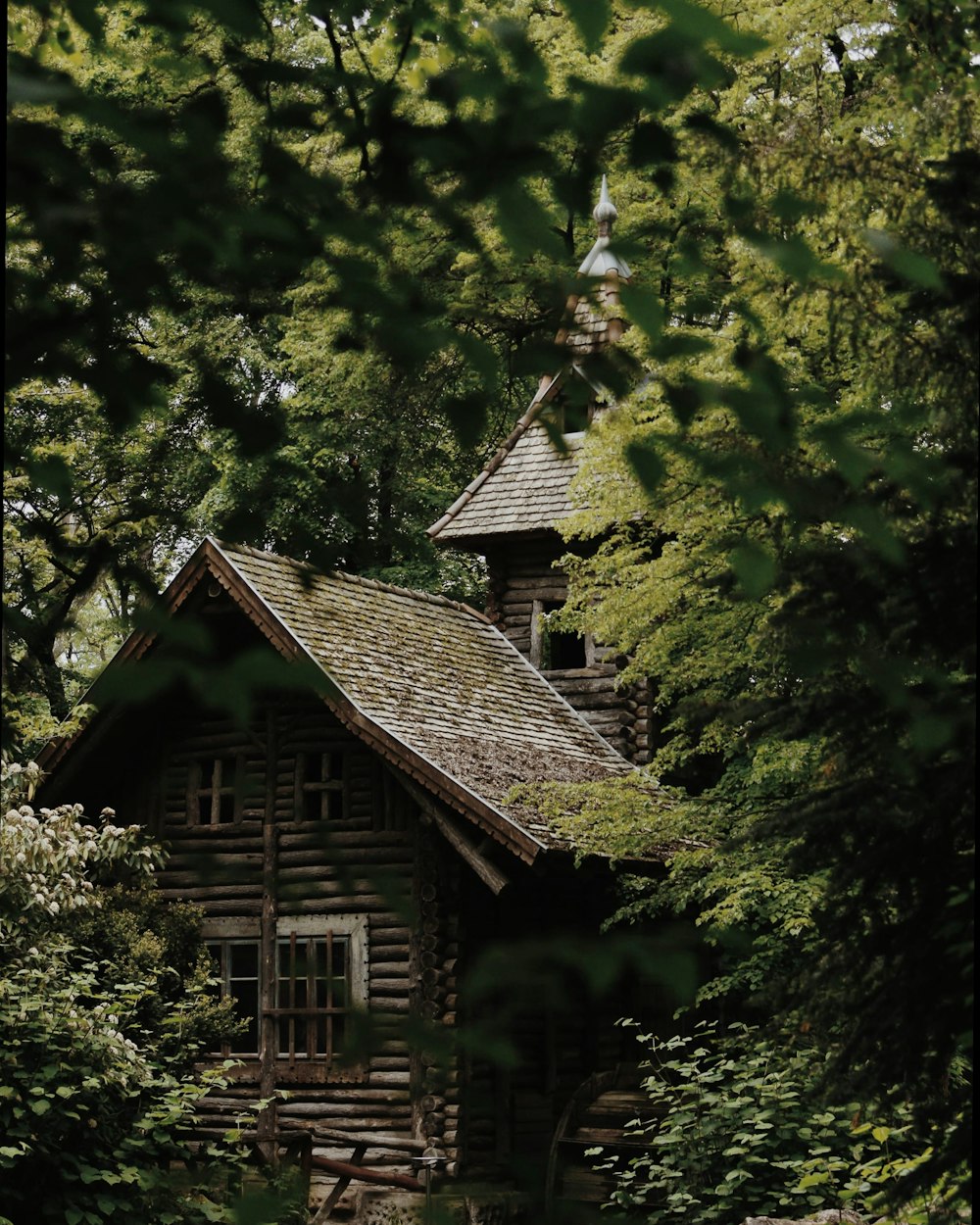 an old log cabin nestled in the woods