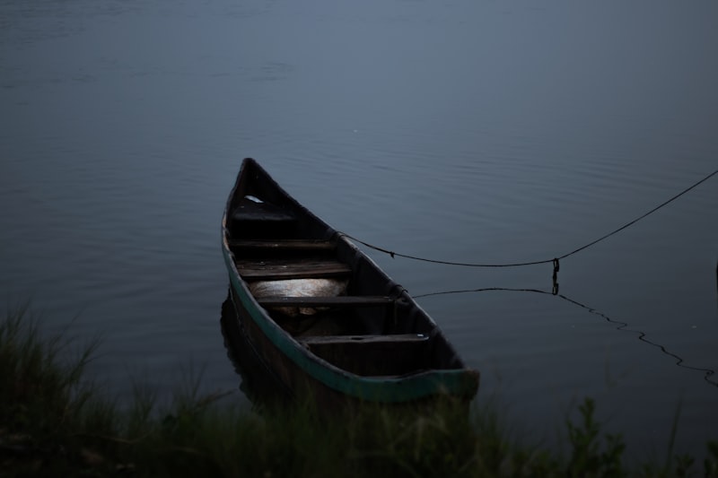 Reflets dorés sur l'eau