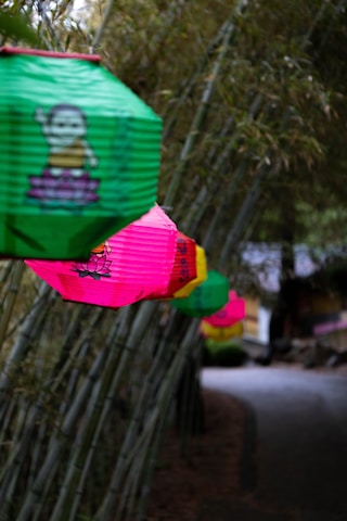 Colorful paper lanterns hang along a path surrounded by dense bamboo. The foreground lantern is green with an image, followed by pink, yellow, and more lanterns. The focus blurs into the background, suggesting a tranquil, wooded setting.