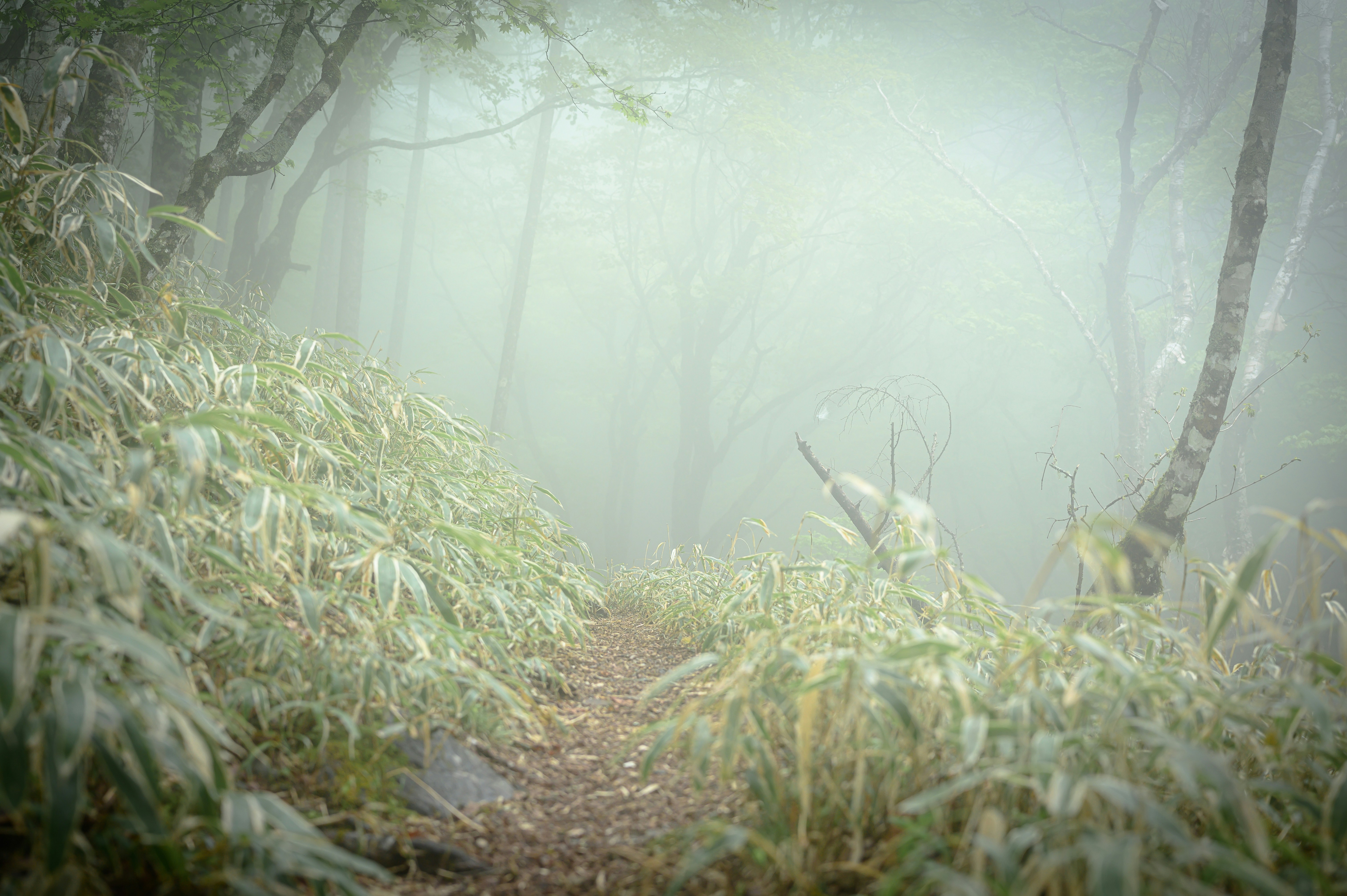 Photo by hayato_no_kiroku