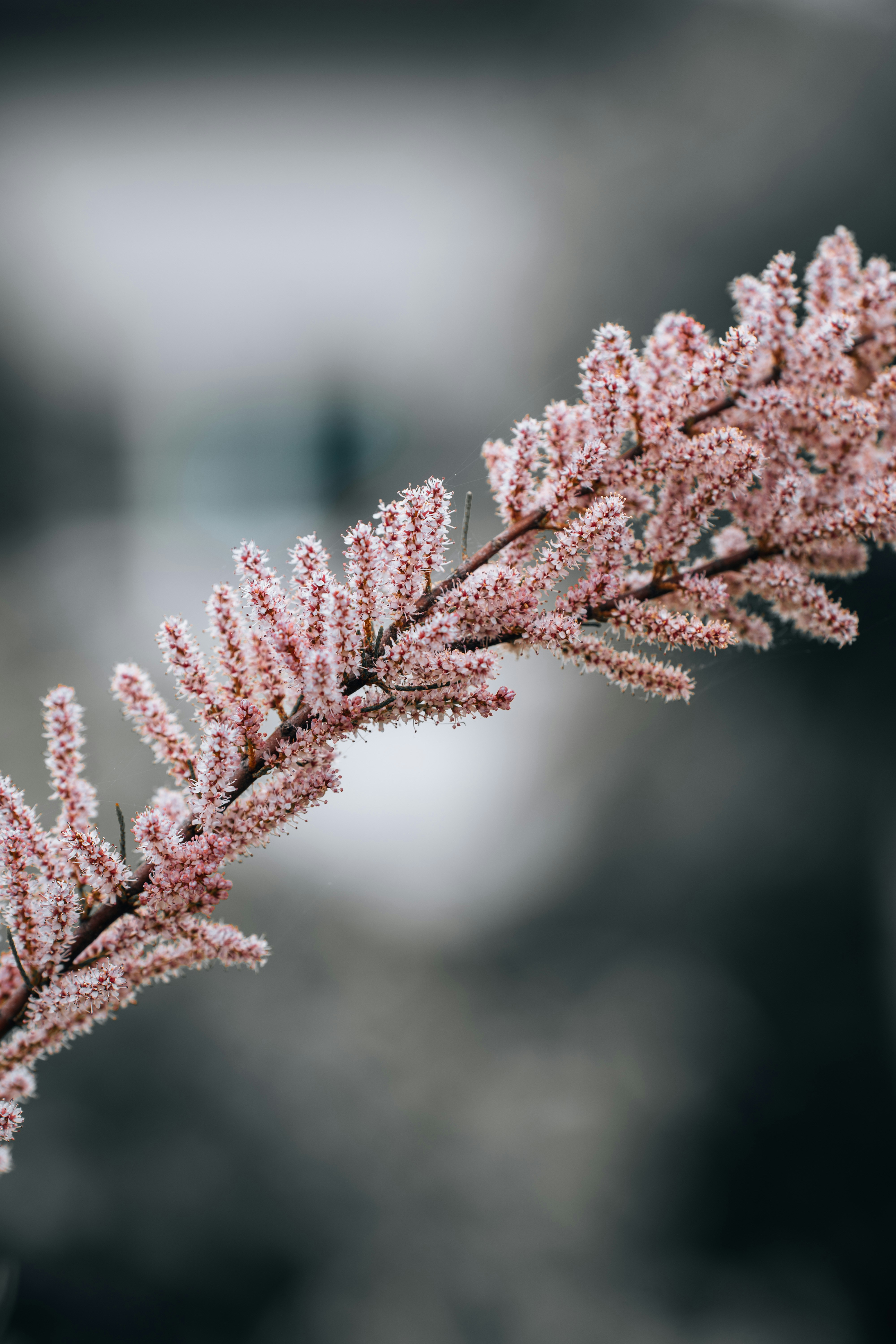 Photo by watchelijah