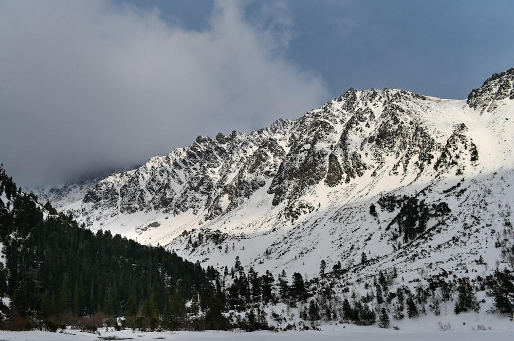 uma montanha coberta de neve e cercada por árvores