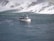 A tour boat filled with passengers sails on a wide river near cascading waterfalls. The water is turbulent, and mist rises from where the falls crash into the river, creating a dramatic backdrop. Seagulls fly around the scene, adding to the sense of motion and activity.