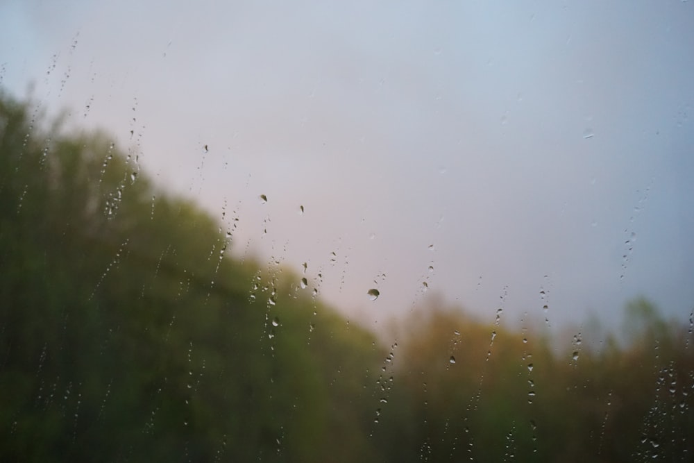 a window with rain drops on the glass