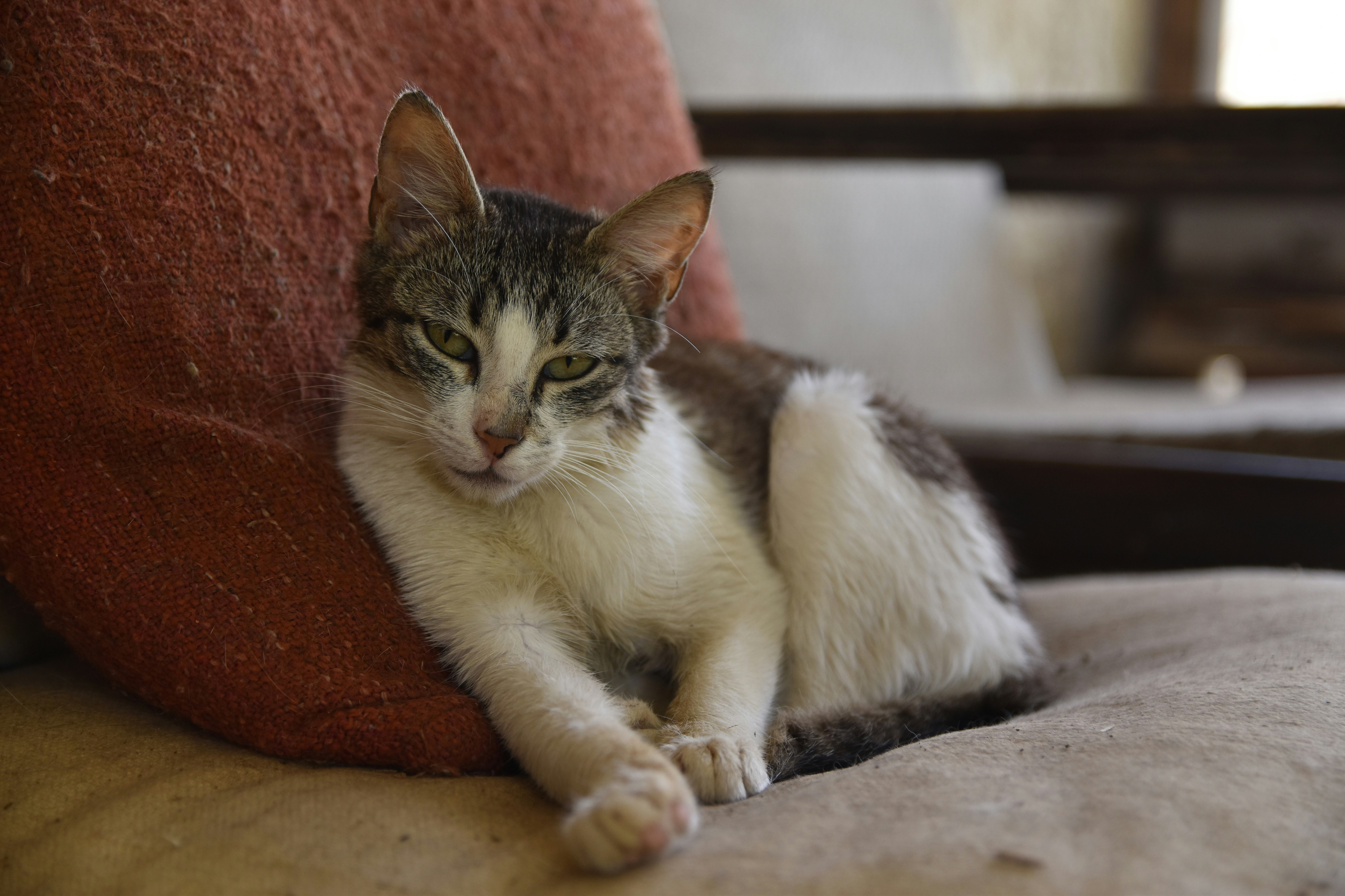 Photo by veronica_chalyj