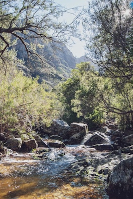 Casual game screen featuring relaxing nature-themed graphics.