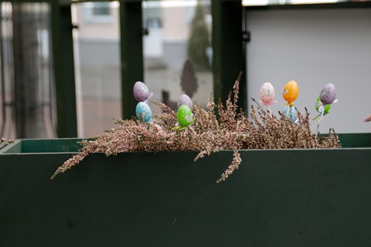 Decorative Easter eggs are placed on sticks and inserted into a bed of dried heather plants in a green planter. The background is blurred, showing parts of a building or structure.