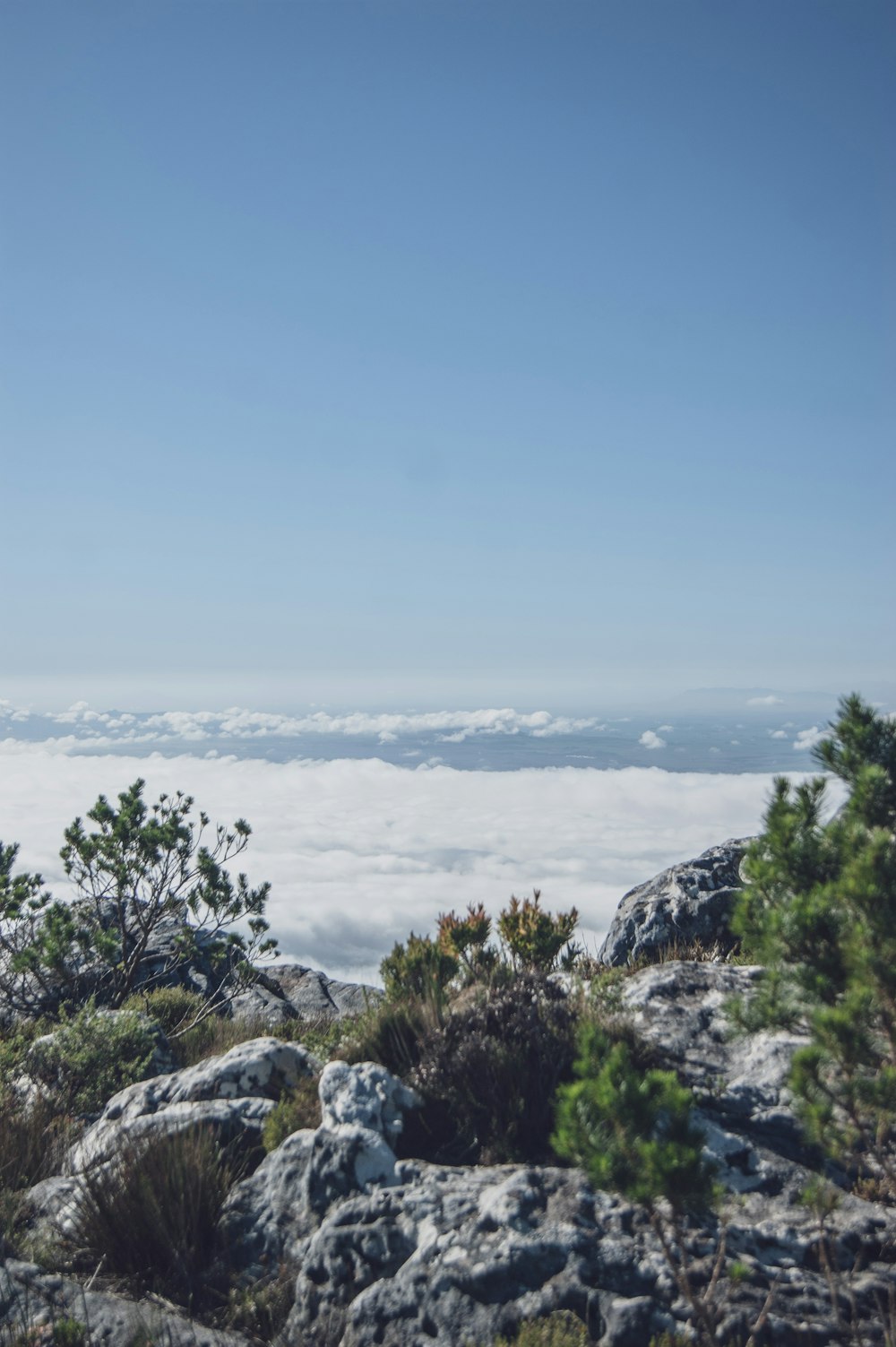 a person standing on top of a mountain with a sky background