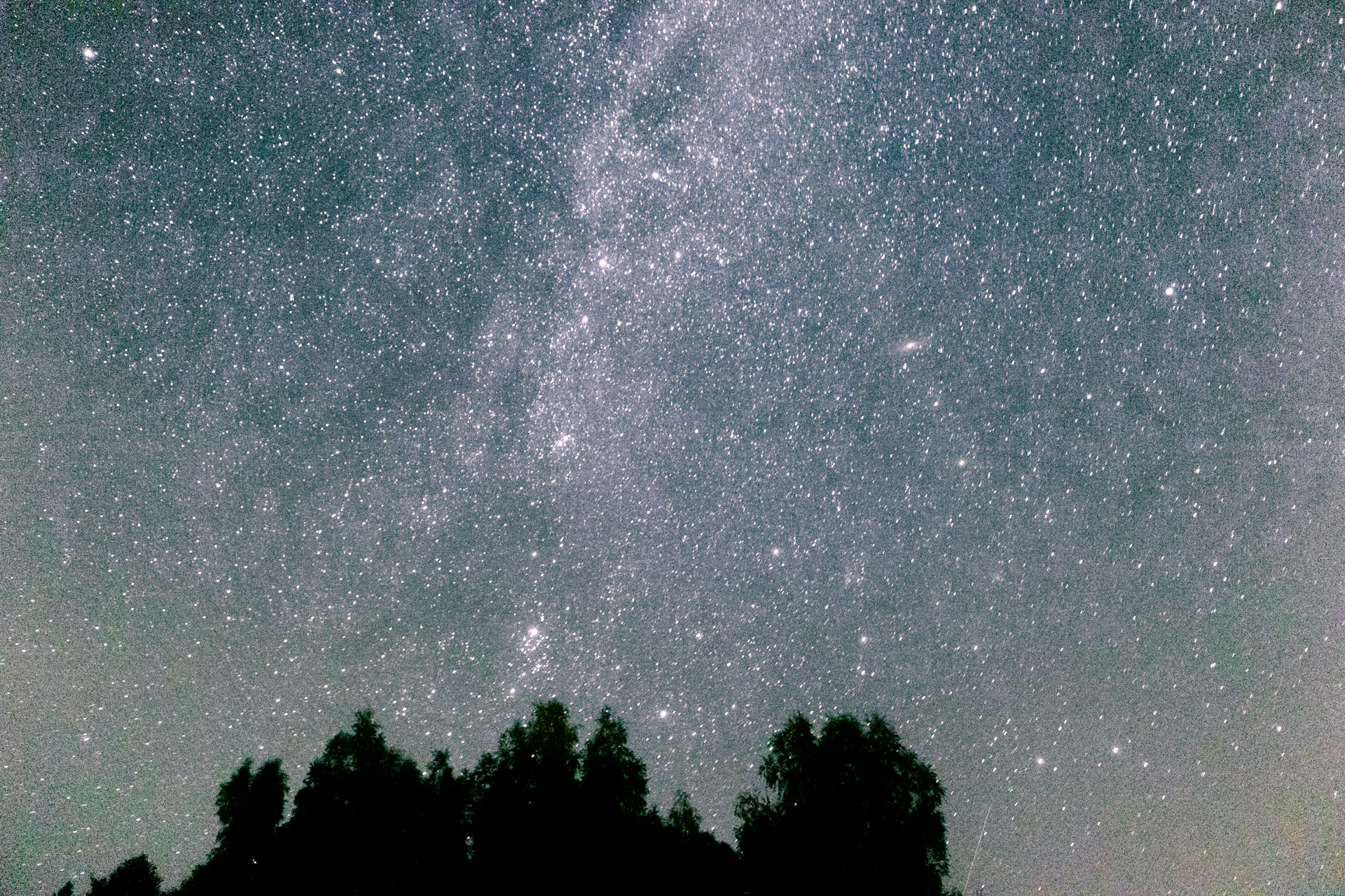 the night sky is filled with stars and trees