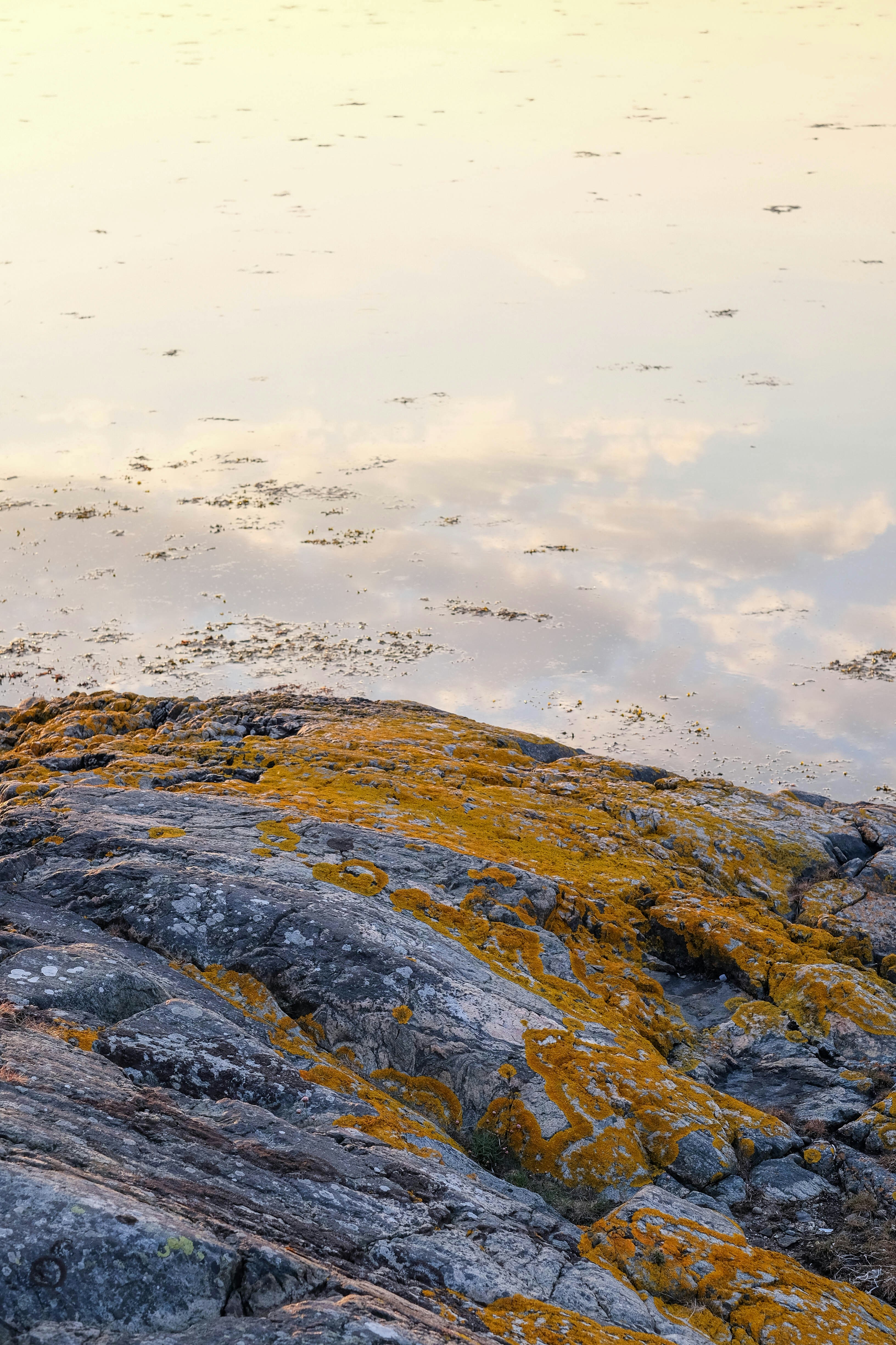 a bird standing on a rock next to a body of water