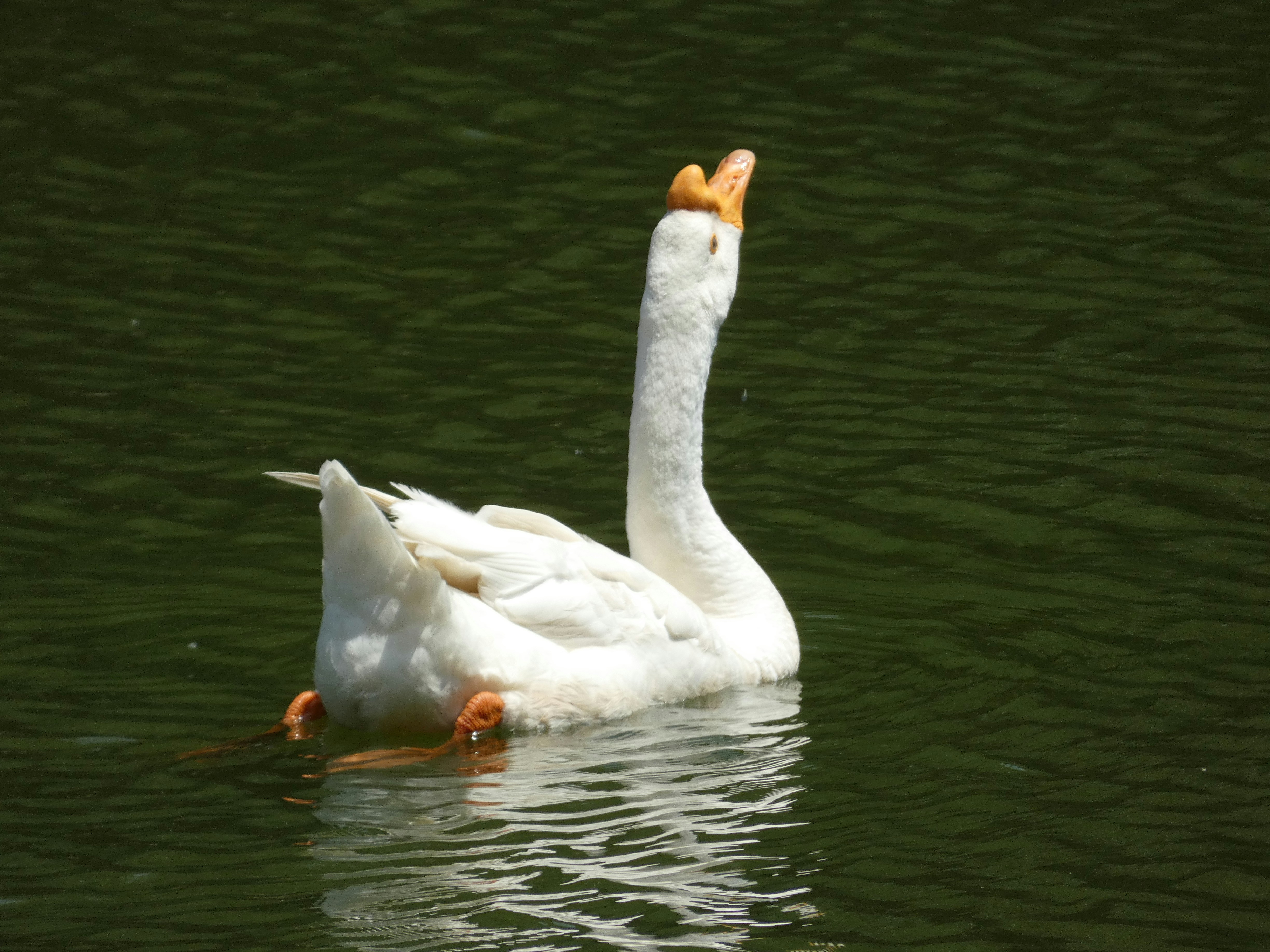 Photo by arkansas007