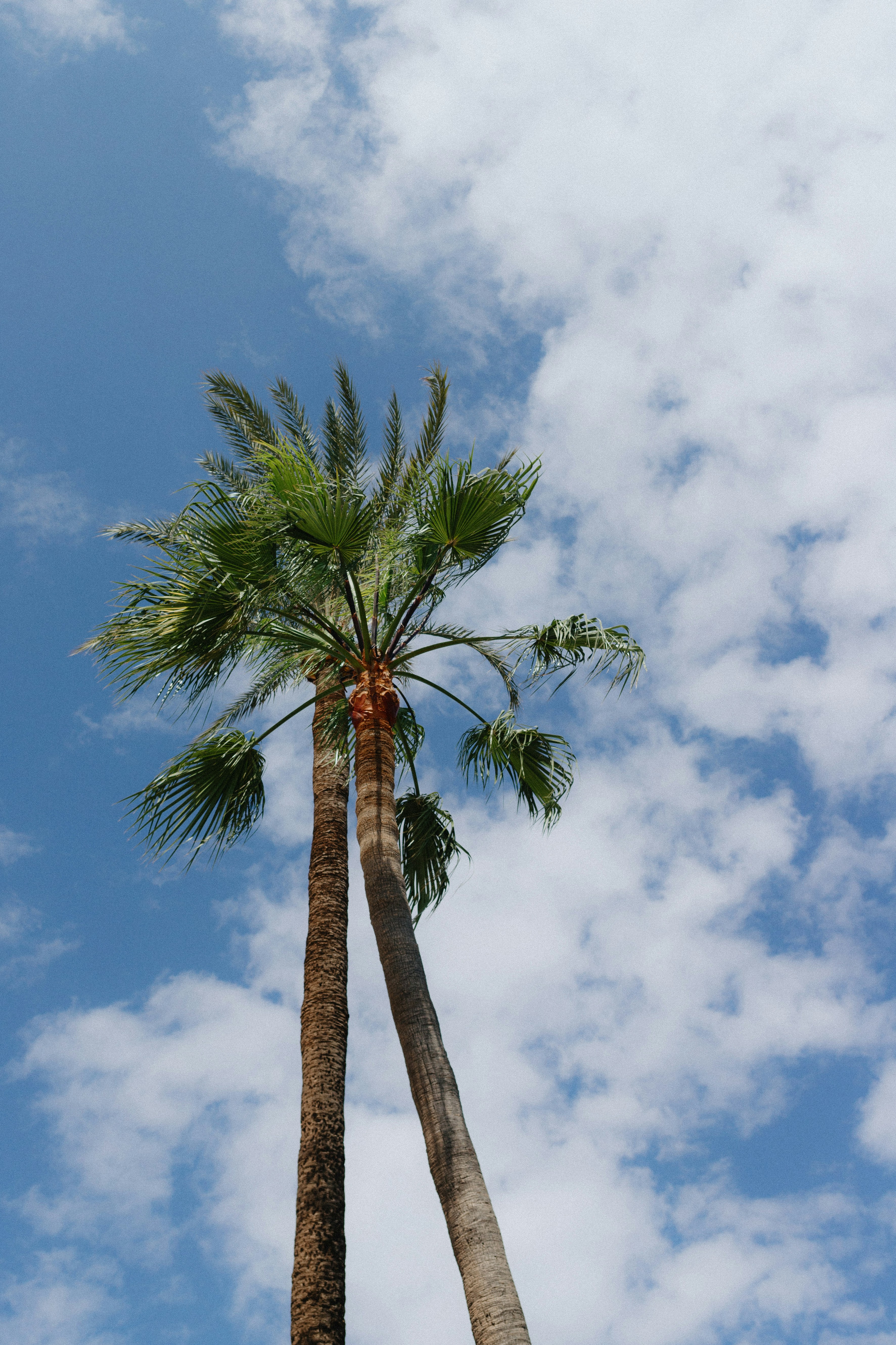 Photo by juliamatuzova