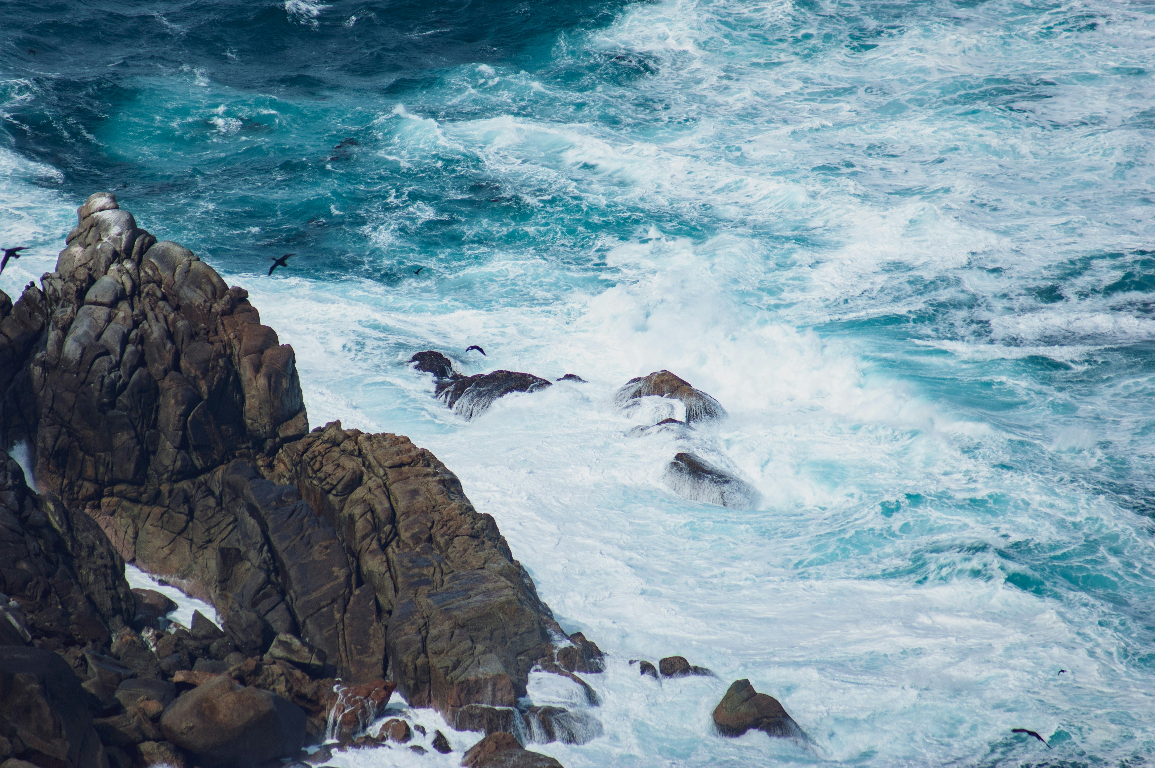 Photo by jbonunsplash