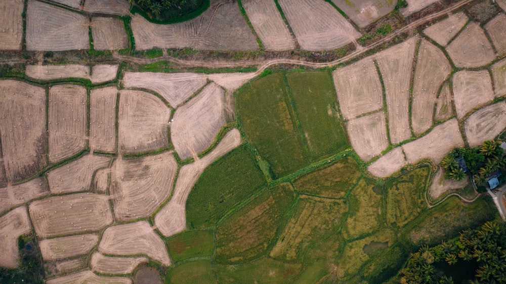 an aerial view of a rice field in the countryside
