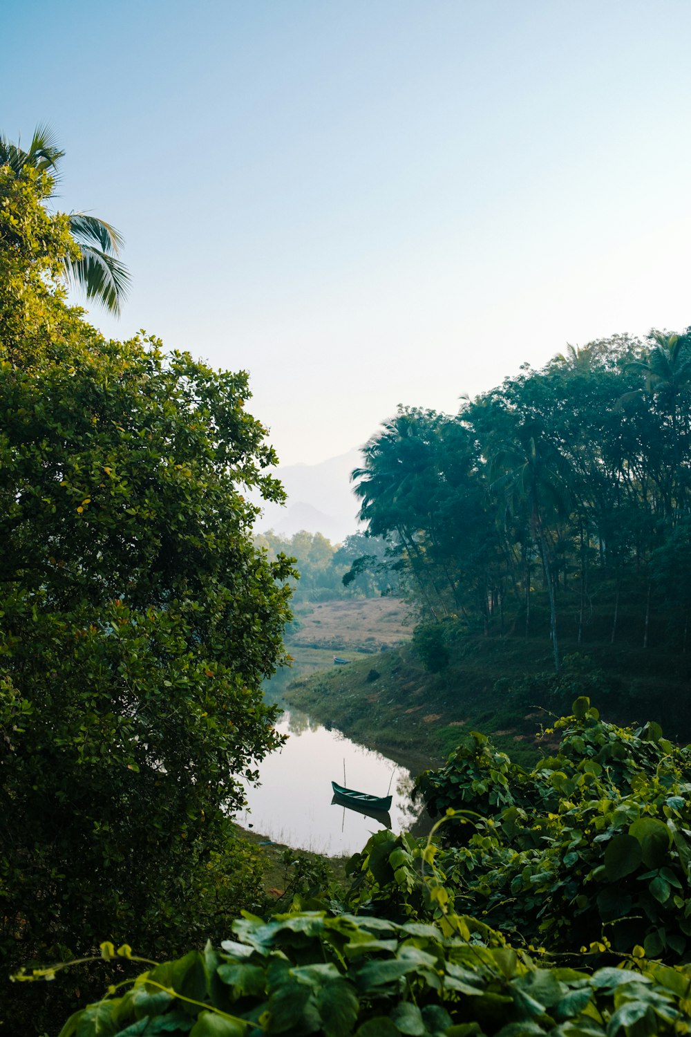 a small boat floating on top of a river surrounded by trees