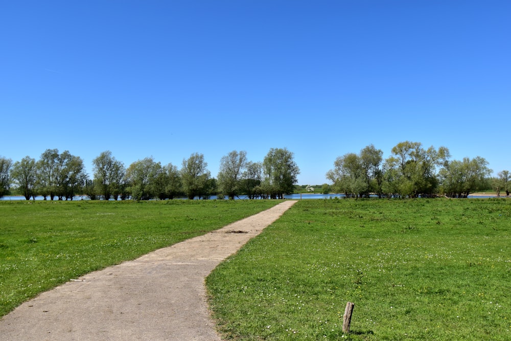 a path leading to a grassy field with trees in the background