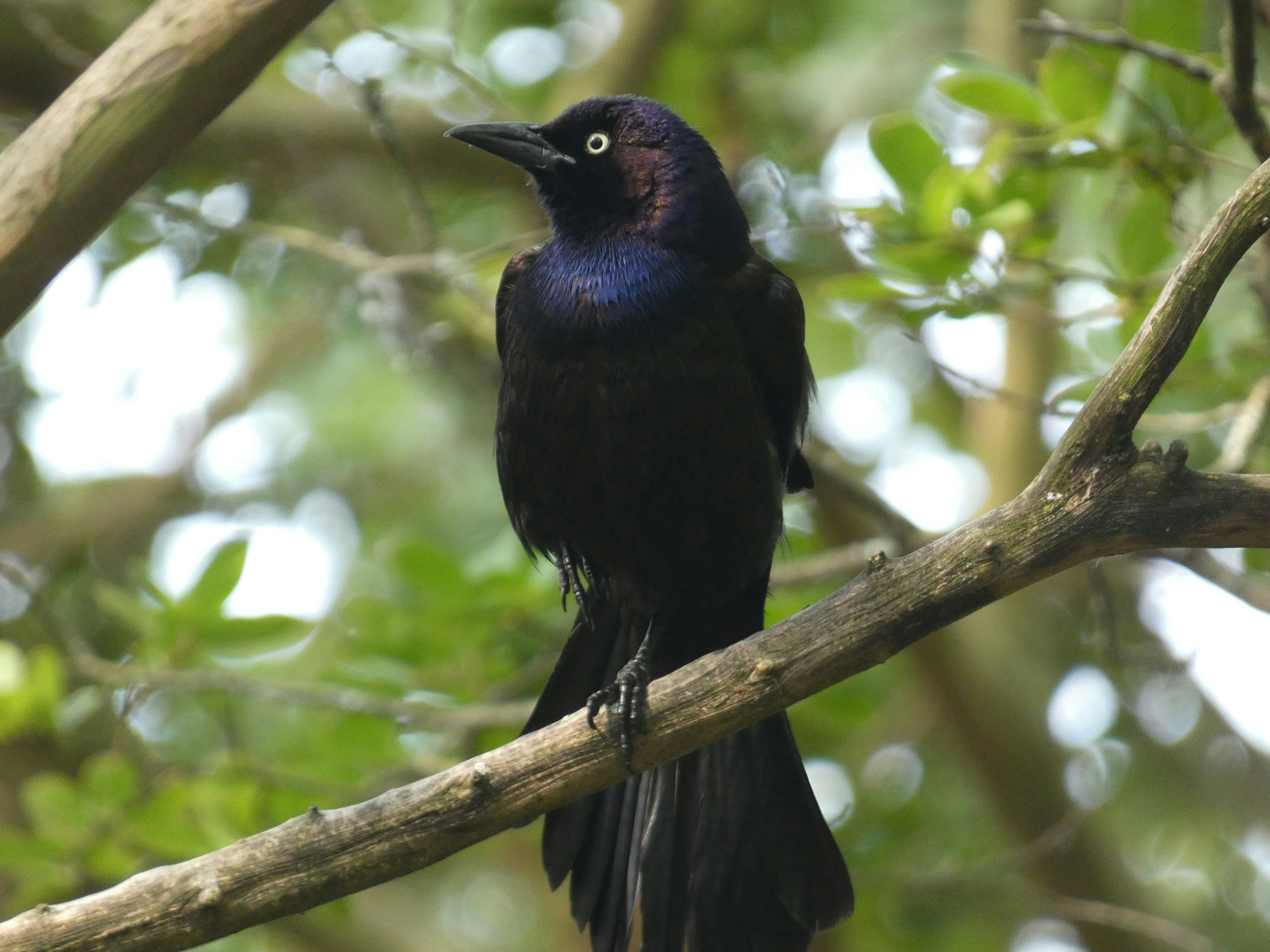 Photo by arkansas007