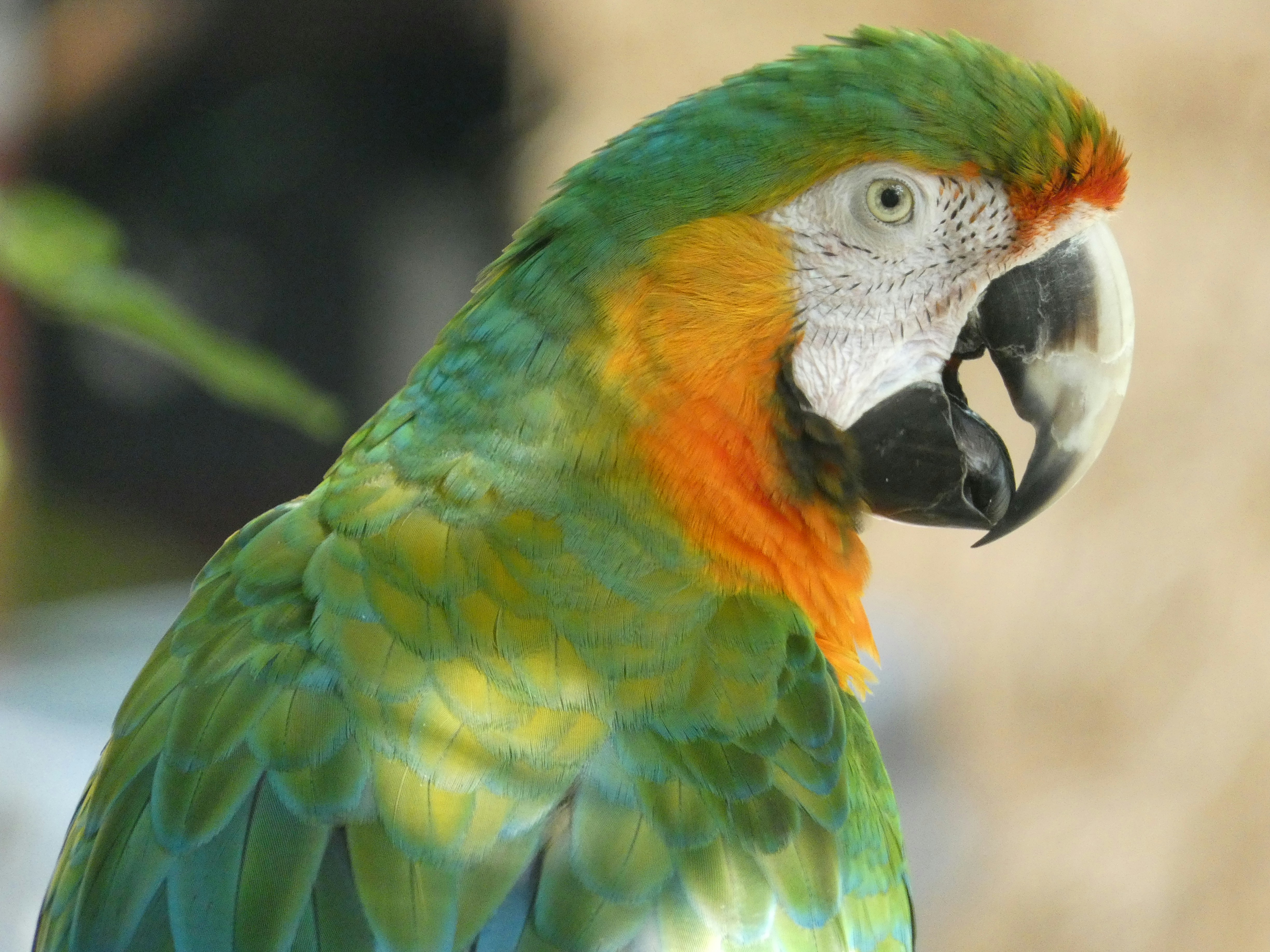 Photo by arkansas007