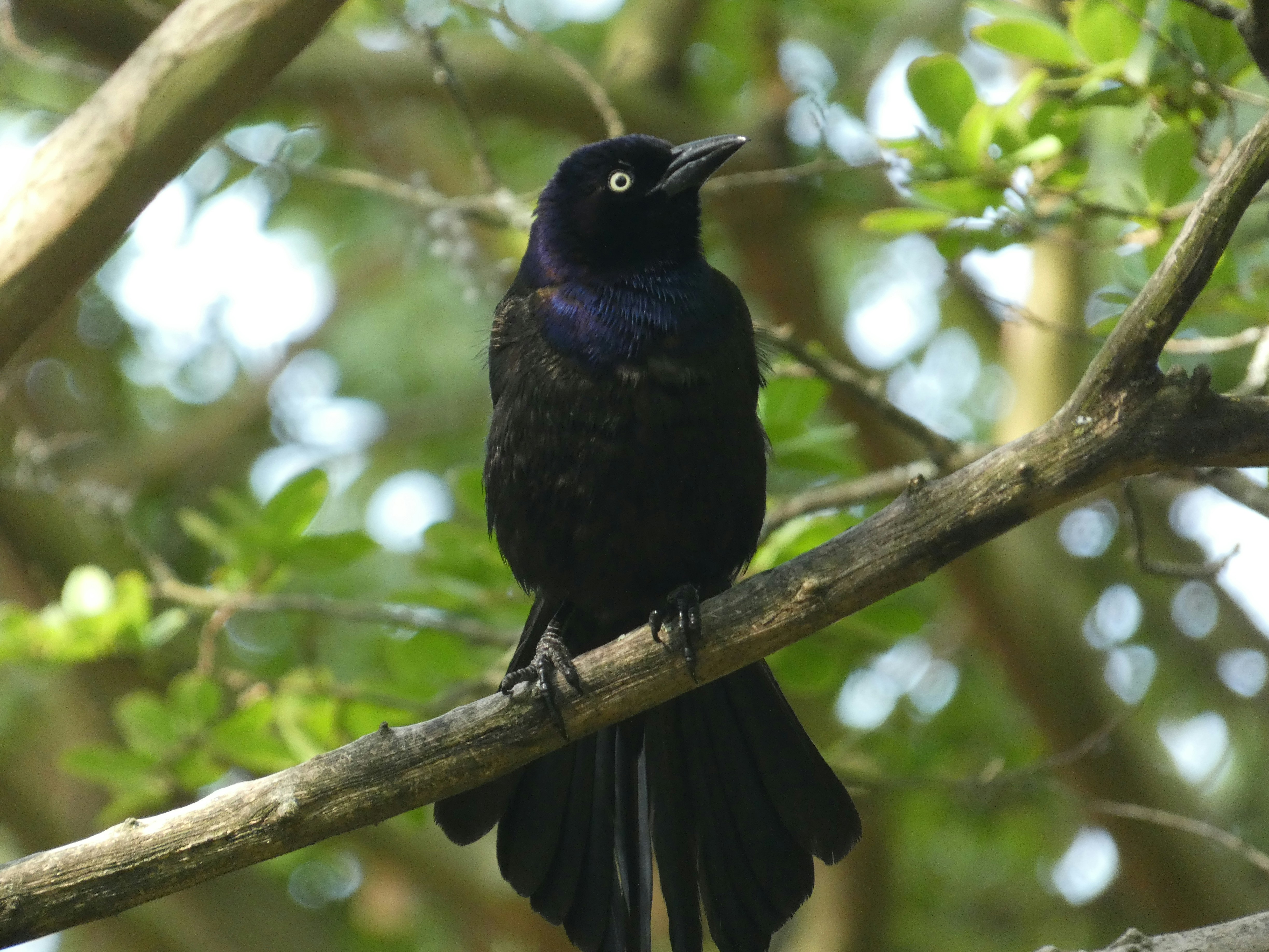 Photo by arkansas007