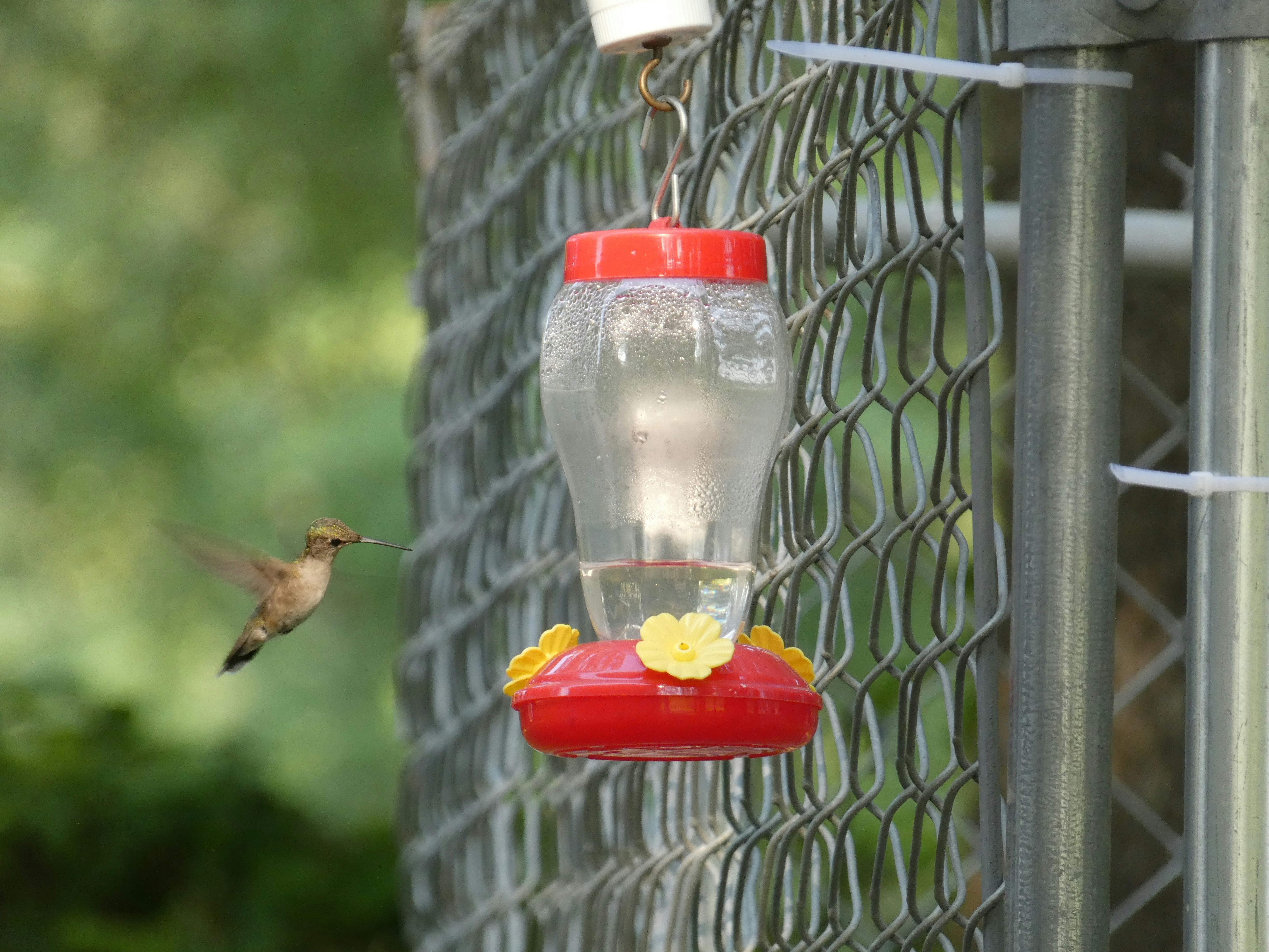 Photo by arkansas007