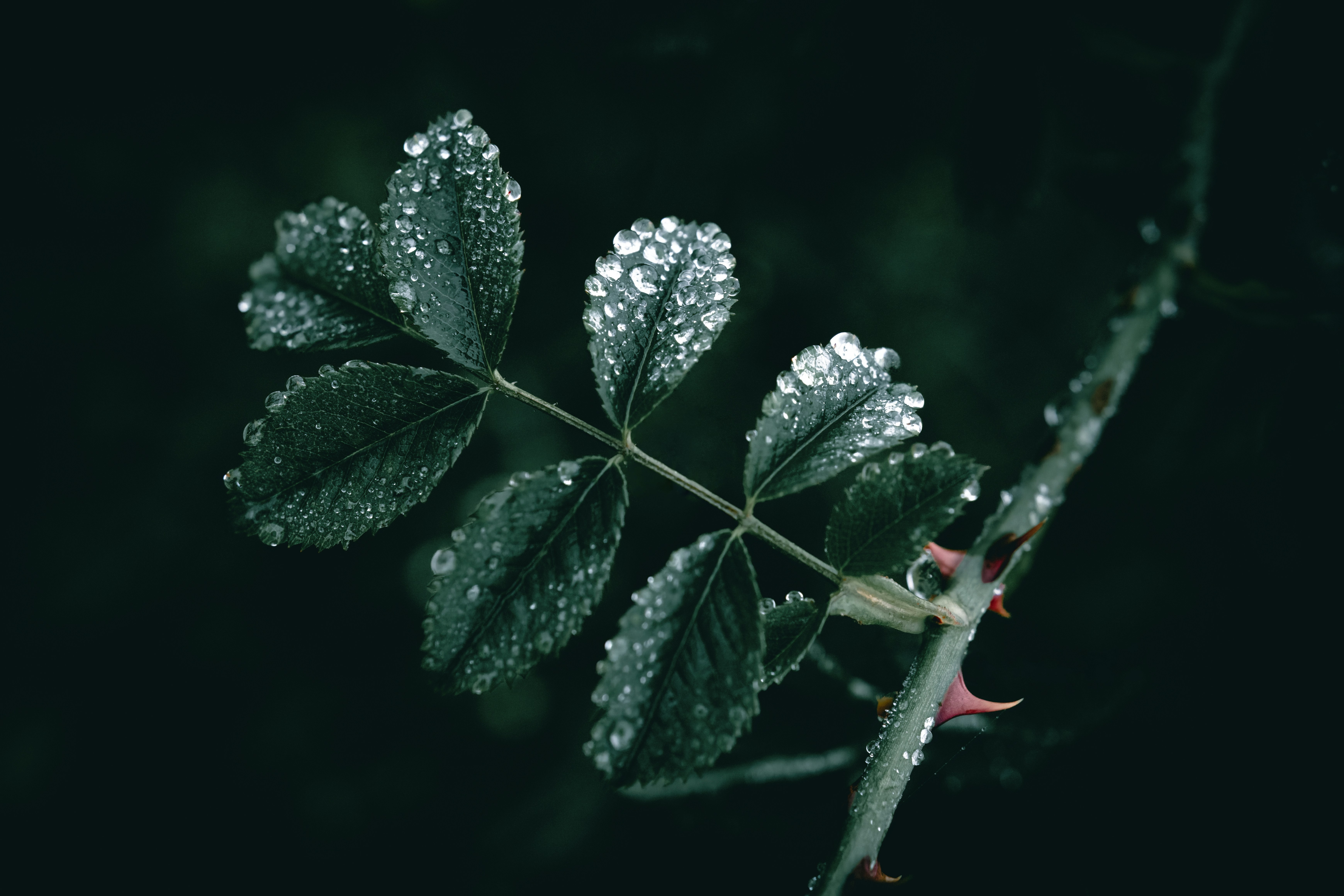 Photo by wyxina
