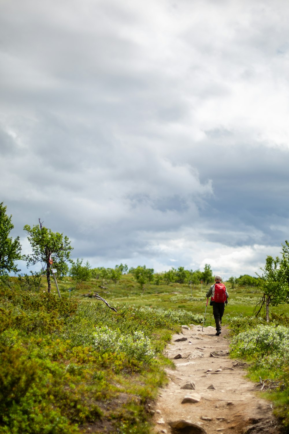 a person walking down a dirt path in a field