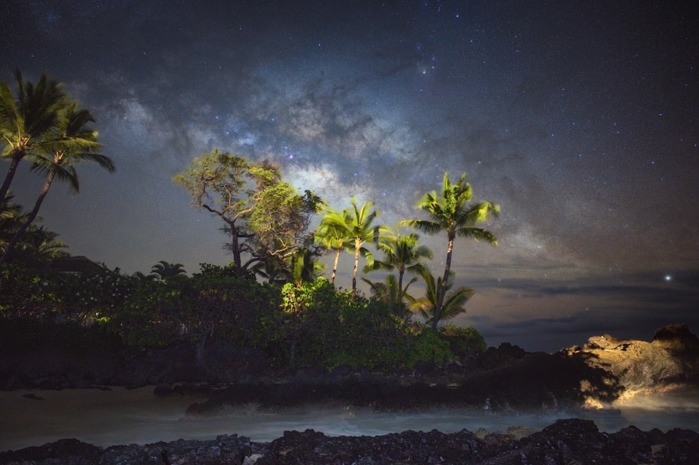 the night sky over a tropical island with palm trees