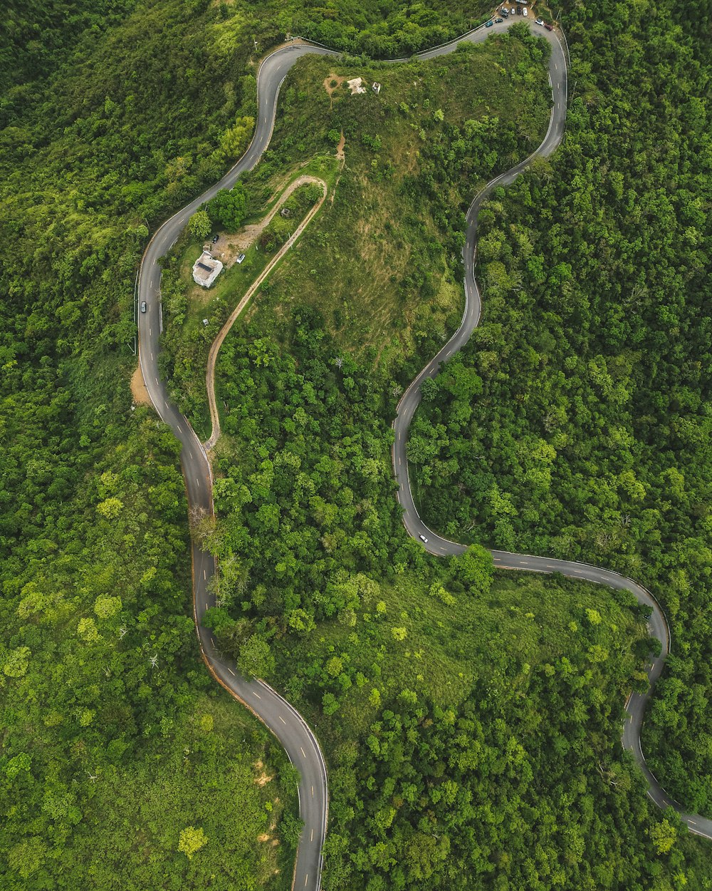 a winding road in the middle of a lush green forest