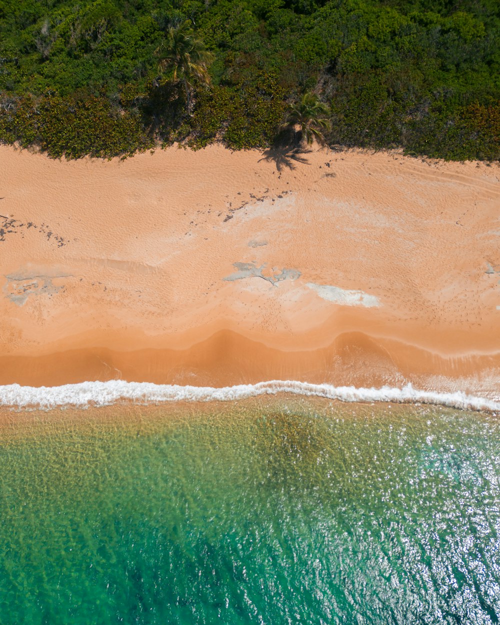 Una vista aérea de una playa de arena y el océano