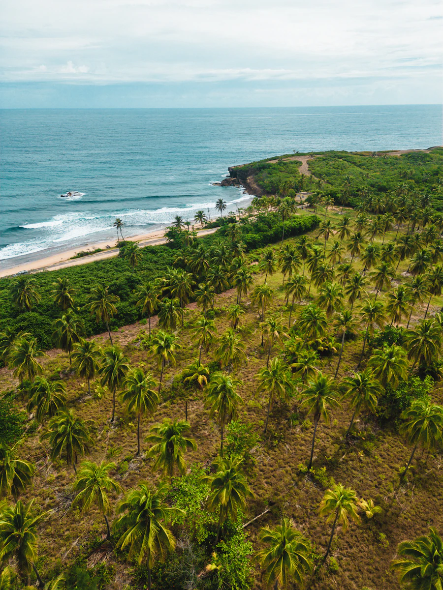 Aerial view of Flamenco Beach, Culebra